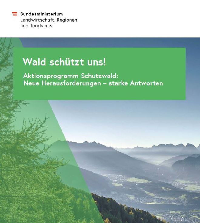 Das Aktionsprogramm "Wald schützt uns!"