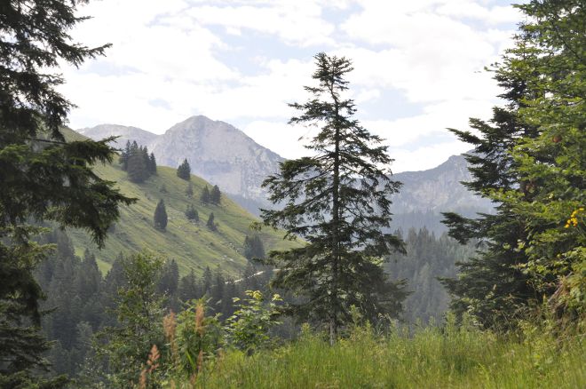Gebirgslandschaft in Österrich