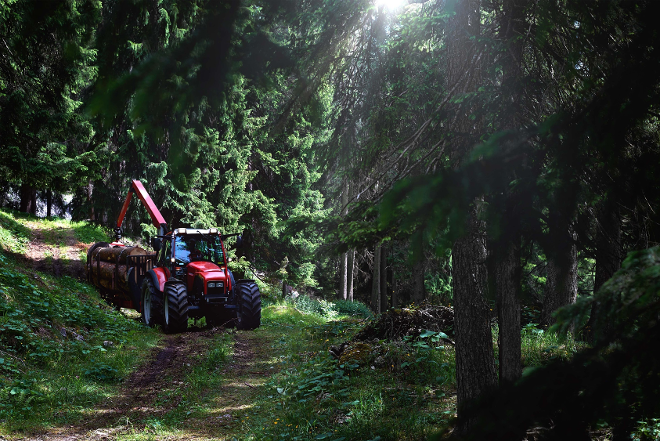 Arbeitsfahrzeug im Wald