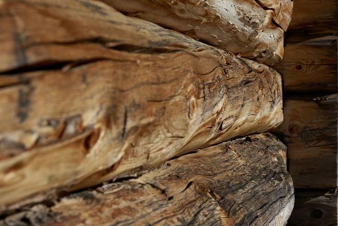 Holz