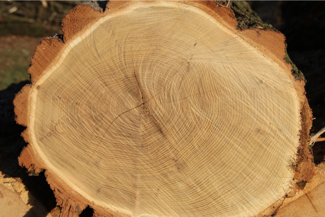 Holzbloch liegend