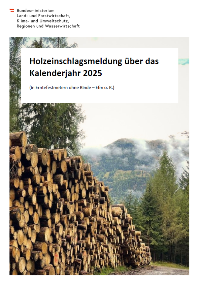 Titelblatt der Broschüre Holzeinschlagsmeldung 2025. Zu sehen ein großer Holzpolter entlang einer Forststraße, im Hintergrund Wald.