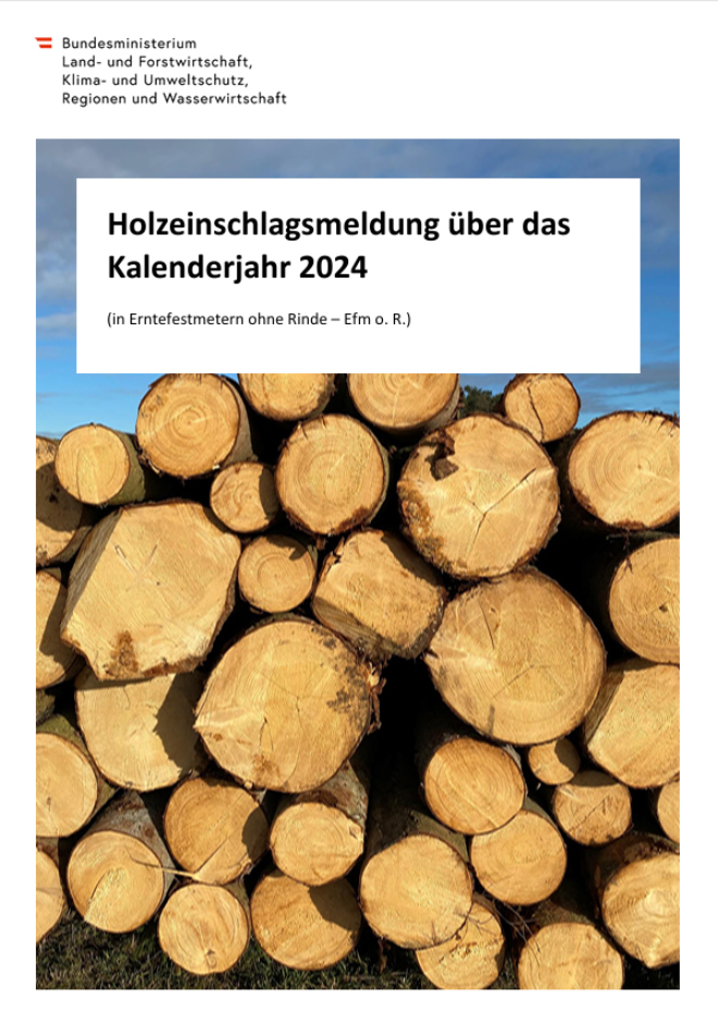 Frontansicht eines Holzpolters im Sonnenschein, dahinter blauer Himmel.