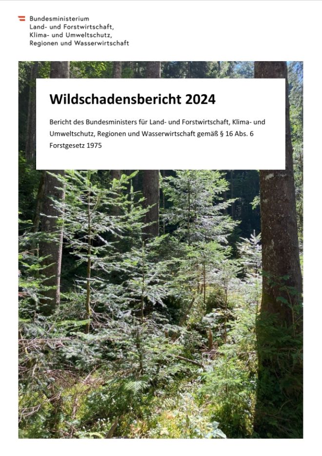 Titelseite der Broschüre "Wildschadensbericht 2024" mit Bild von jungen Bäumen im Wald
