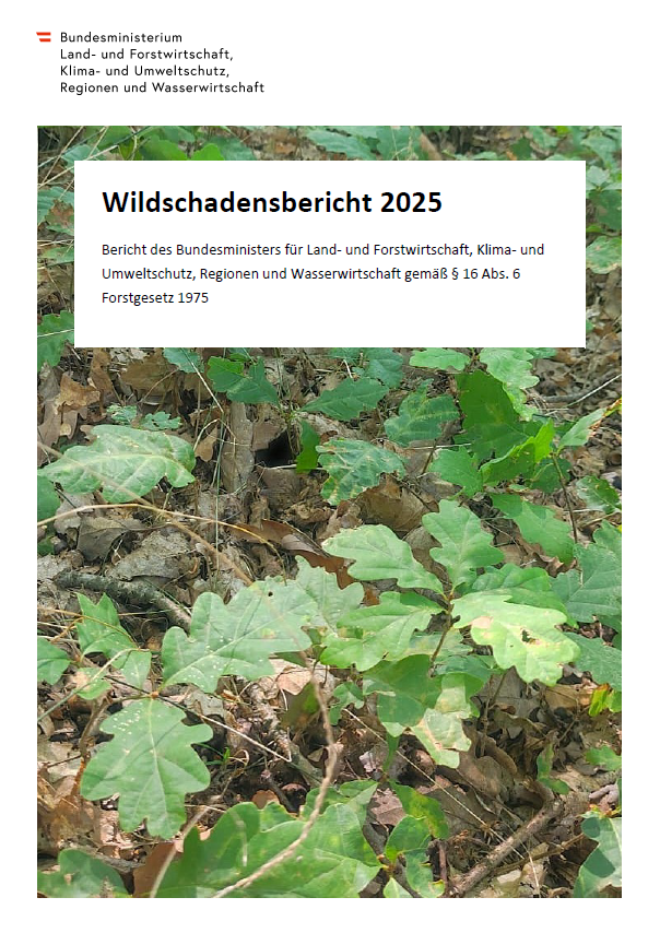 Wildschadensbericht 2025