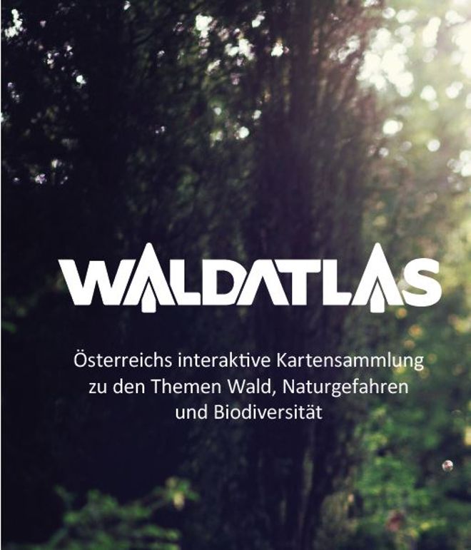 Leporello Waldatlas