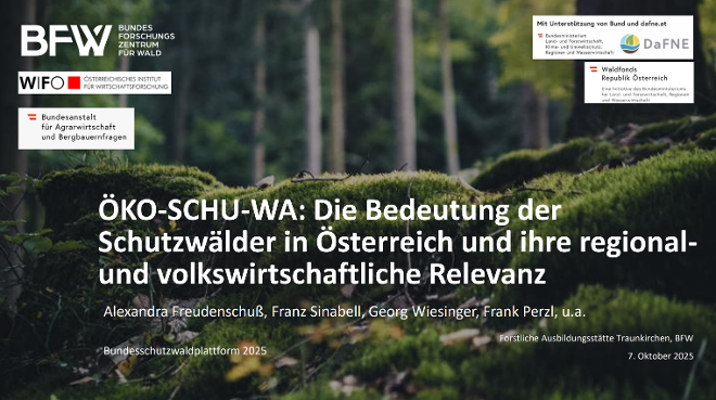 Folie einer Power-Point-Präsentation mit dem Text "ÖKO-SCHU-WA: Die Bedeutung der Schutzwälder in Österreich und ihre regional- und volkswirtschaftliche Relevanz". Im Hintergrund ein Foto eines Waldbodens mit Moos.