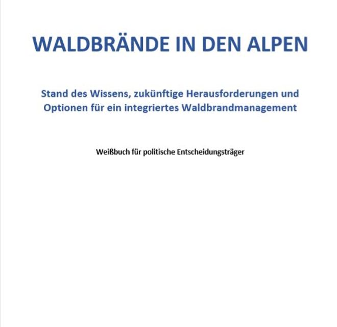 Coverbild  - Weißbuch für politische Entscheidungsträger