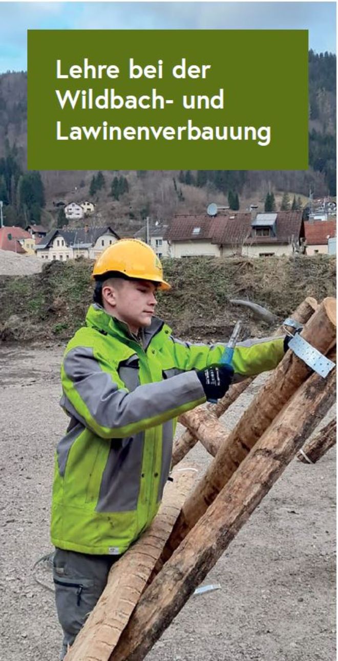 Lehre bei der WLV