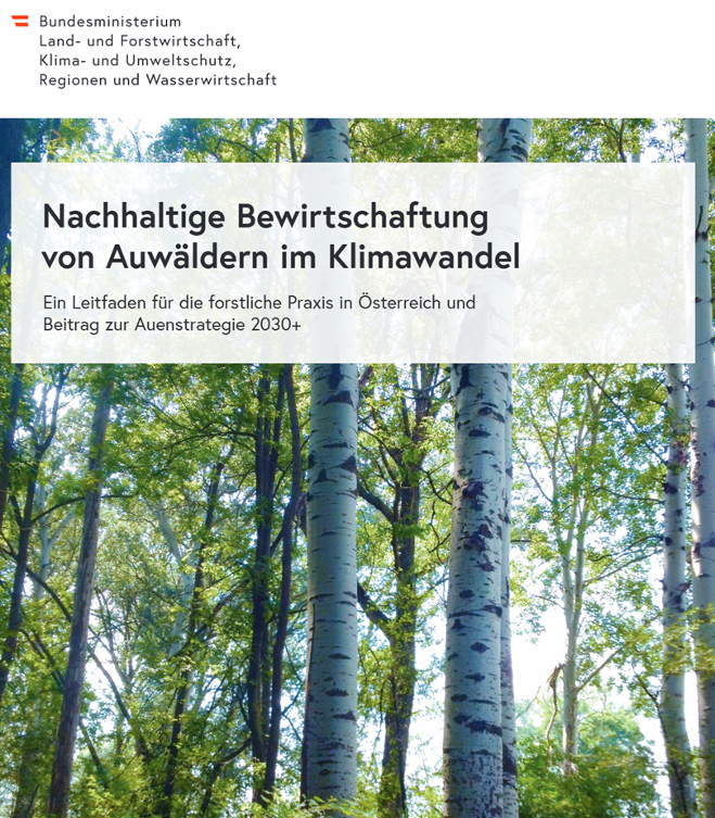 Titelbild Auwald-Leitfaden