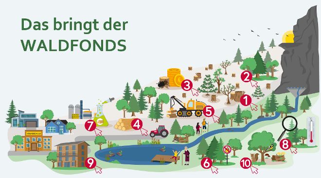 Das bringt der Waldfonds