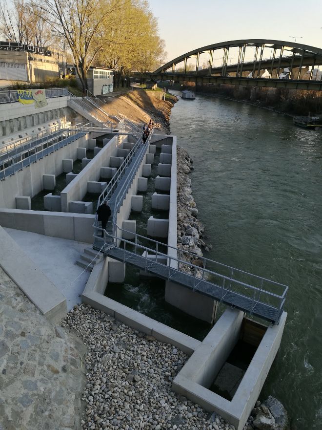 Fischaufstiegshilfe beim Kraftwerk Nußdorf