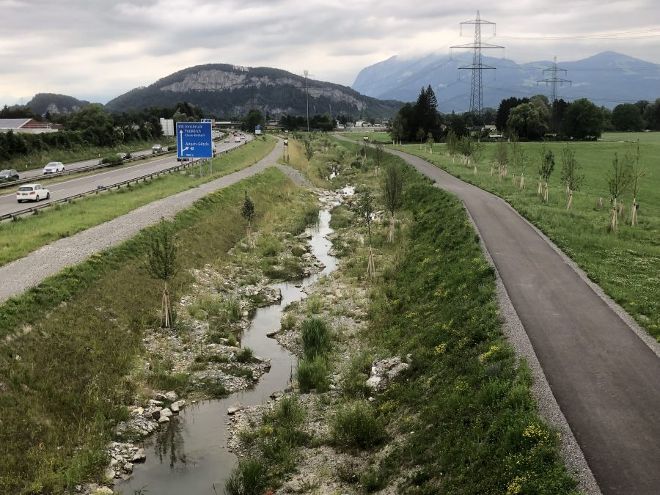 Bachlauf begruent entlang einer Strasse