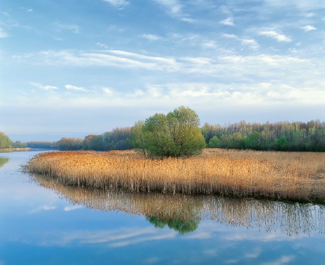 im Gewaesser spiegelt sich die herbstliche Landschaft