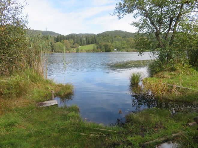 Hafnersee