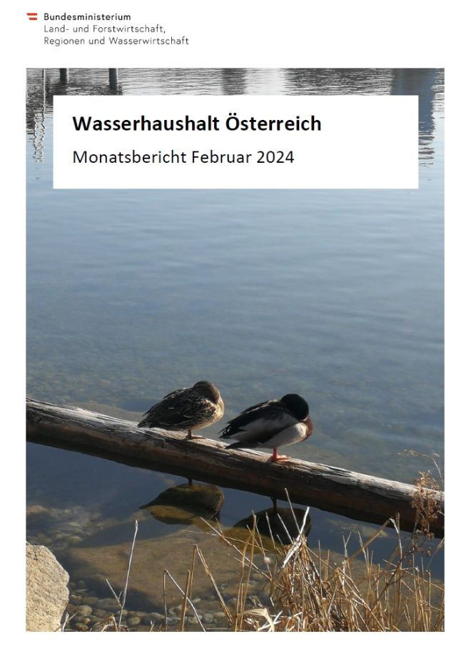 Vorschaubild 2024