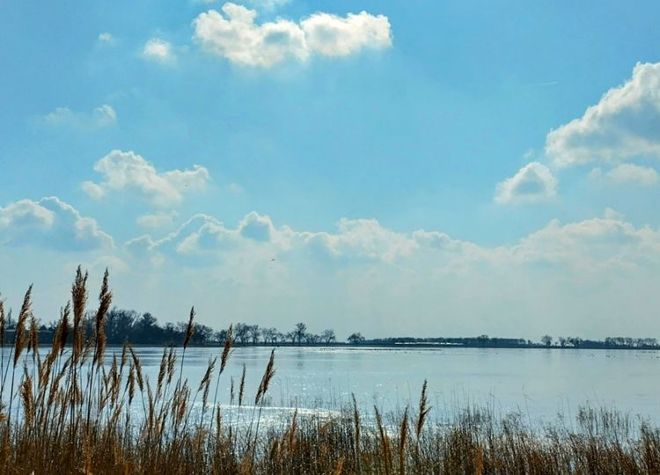 Titelbild 0225