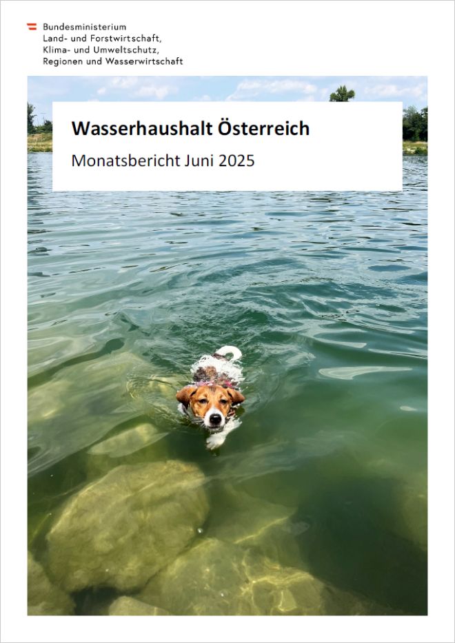 Bild Bericht Mai 2025