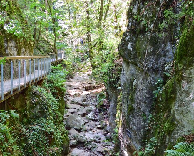 Johannesbachlamm (Niederösterreich), Foto: P. Weilgony