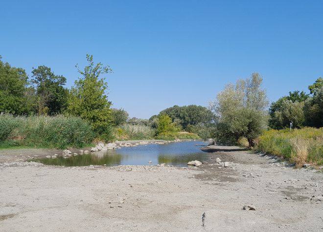 Leitha bei Deutsch Jahrndorf-Karlhof