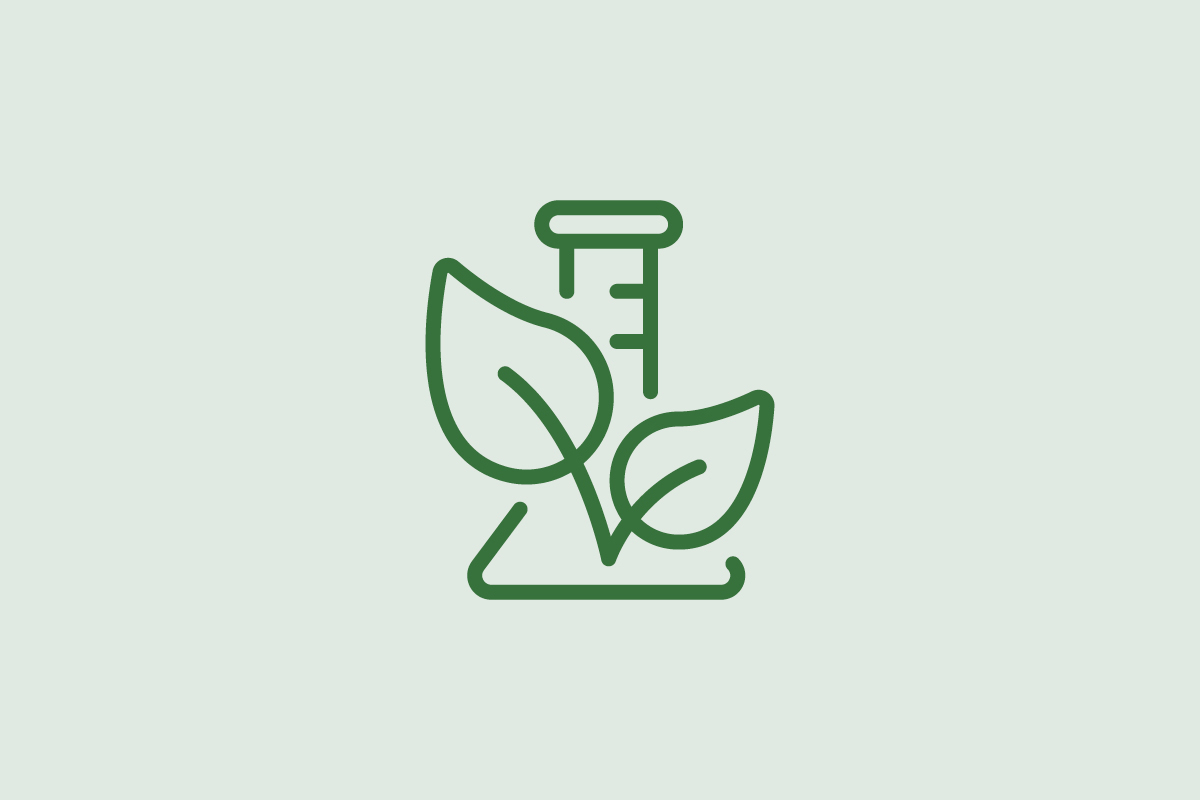 Icon Forschung
